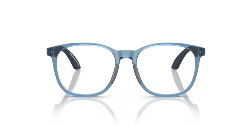 EMPORIO ARMANI EK 3004 6210