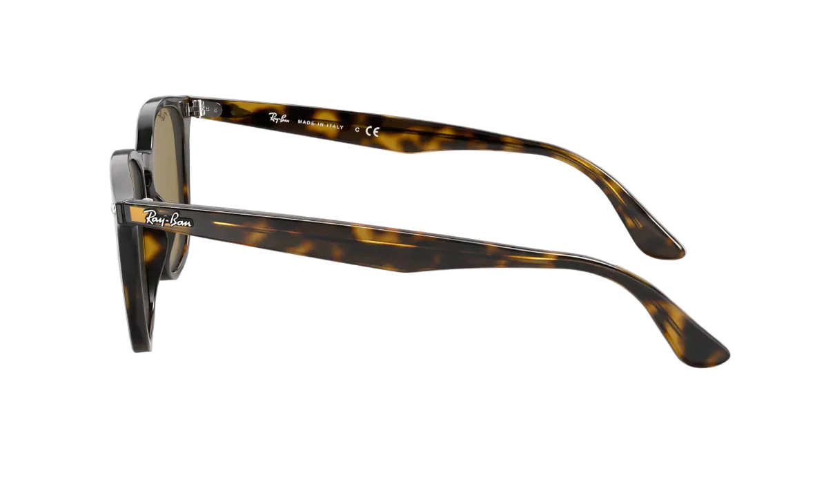 RAYBAN RB 4258F 710/73