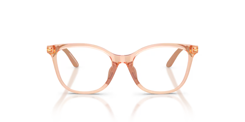 EMPORIO ARMANI EK 3011U 6347