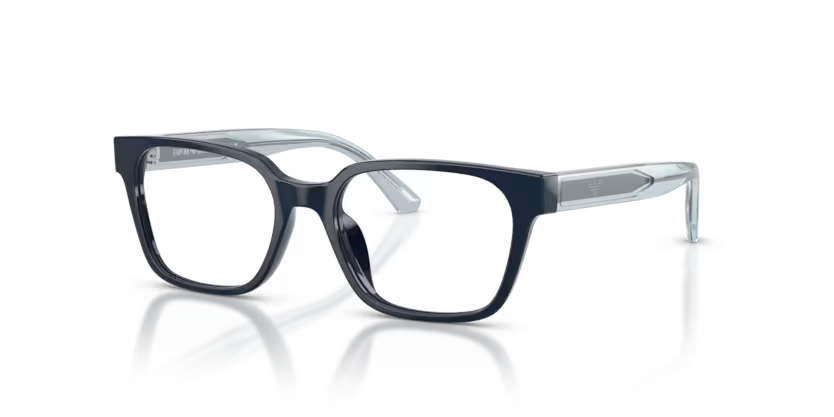 EMPORIO ARMANI EK 3013U 6382