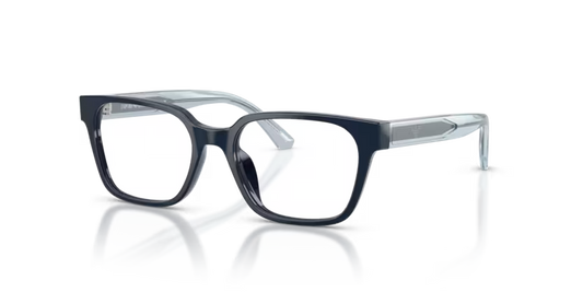 EMPORIO ARMANI EK 3013U 6382