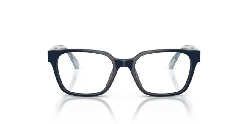 EMPORIO ARMANI EK 3013U 6382