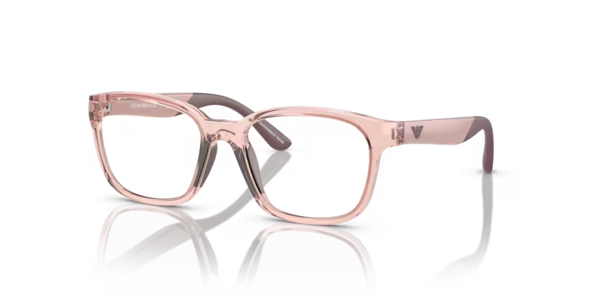 EMPORIO ARMANI EK 3003 5544